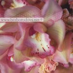 Персиковый свадебный букет из орхидей и роз