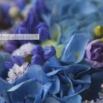 Свадебный букет из голубой гортензии и синих агапантусов с сиреневой фрезией и серой брунией
