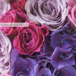 Малиновый букет из роз с фиолетовой гортензией.