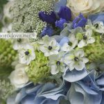 Свадебный букет из голубой гортензии с зелеными орнитогалумами и кремовыми розами
