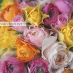 Свадебный букет из розовых пионовидных роз, желтых и малиновых ранункулюсов