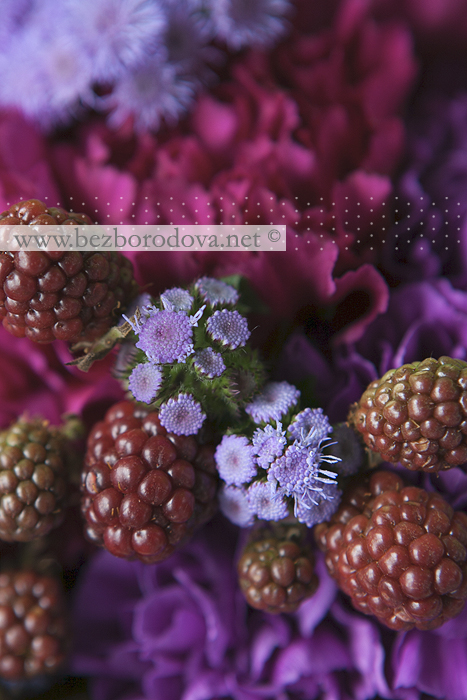 Фиолетовый букет с ягодами ежевики, малиновой гвоздикой и сиреневым агератумом.