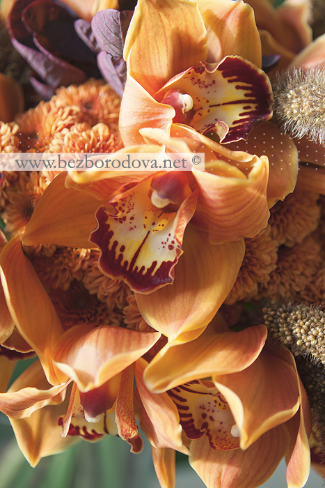Осенний букет с орхидеями и хризантемой