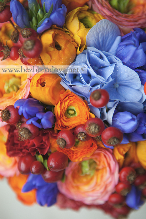 Яркий свадебный букет из оранжевых ранункулюсов с ягодами шиповника и голубой гортензией