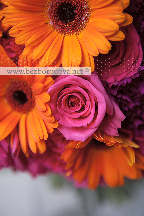 Оранжевый букет невесты из гербер с малиновыми розами и гвоздикой