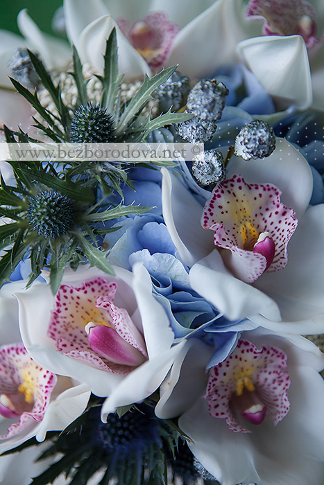 Свадебный букет из белых орхидей цимбидиум, голубой гортензии и синего эрингиума