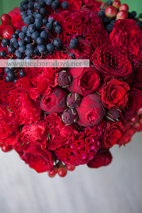 Красный осенний букет из пионовидных роз  с целозией, ягодами гиперикума и девичьим виноградом
