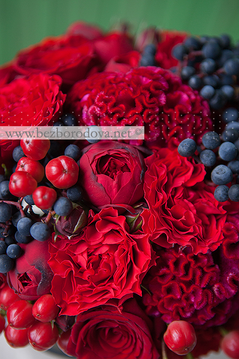 Красный осенний букет из пионовидных роз  с целозией, ягодами гиперикума и девичьим виноградом