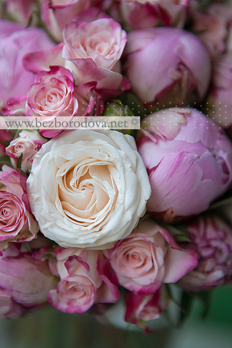 Свадебный букет из розовых пионов и кустовых роз, кремовых пионовидных роз и сиреневых роз 