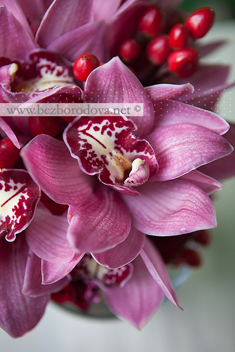 Классический букет цвета марсала из розовых орхидей цимбидиум с красными ягодами гиперикума и бордовыми розами