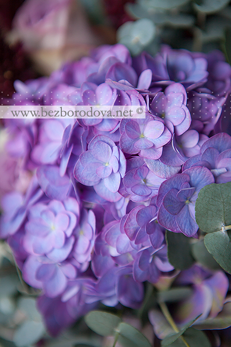 Мятный свадебный букет свободной формы с сиреневыми розами, лиловой гортензией, амарантом винного цвета и эвкалиптом