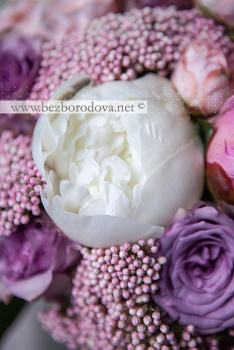 Розовый свадебный букет из пионовидных роз, озотамнуса, с белыми пионами сорта дюшес и сиреневыми розами