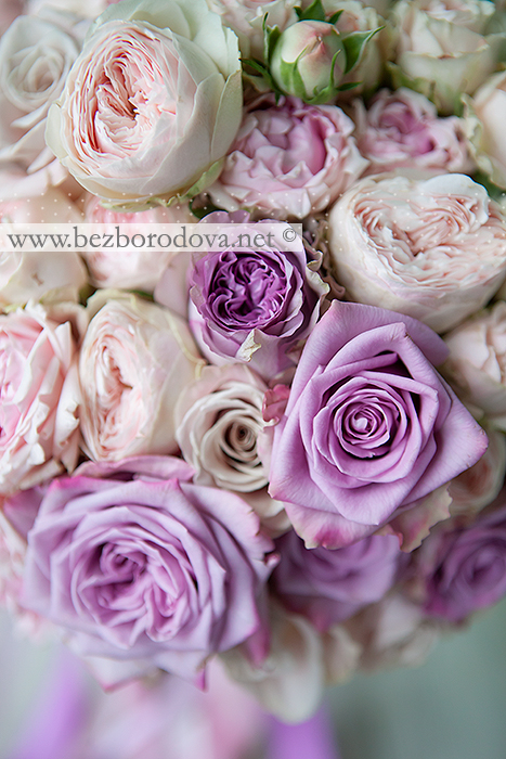 Нежный свадебный букет из розовых пионовидных роз с сиреневыми розами армандо и дольчетто